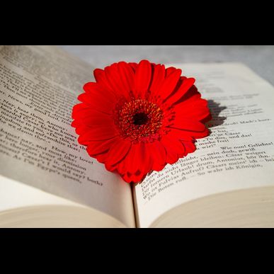 藤沢駅すぐの当サロンで黄土よもぎ蒸しを！